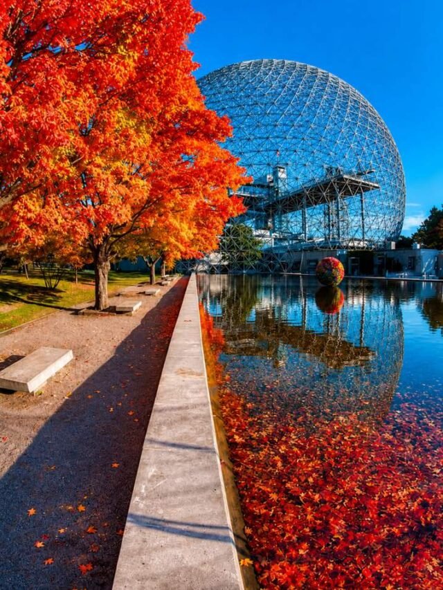 Leia mais sobre o artigo Descubra Montreal em um City Tour Especial com Guia Brasileiro