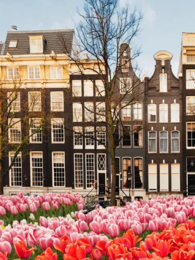 Leia mais sobre o artigo Descubra Amsterdam com Guia Brasileiro (City Tour em Amsterdam)
