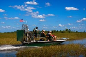 Leia mais sobre o artigo Passeio de Aerobarco nos Everglades: uma experiência imperdível para quem está em Orlando ou Miami