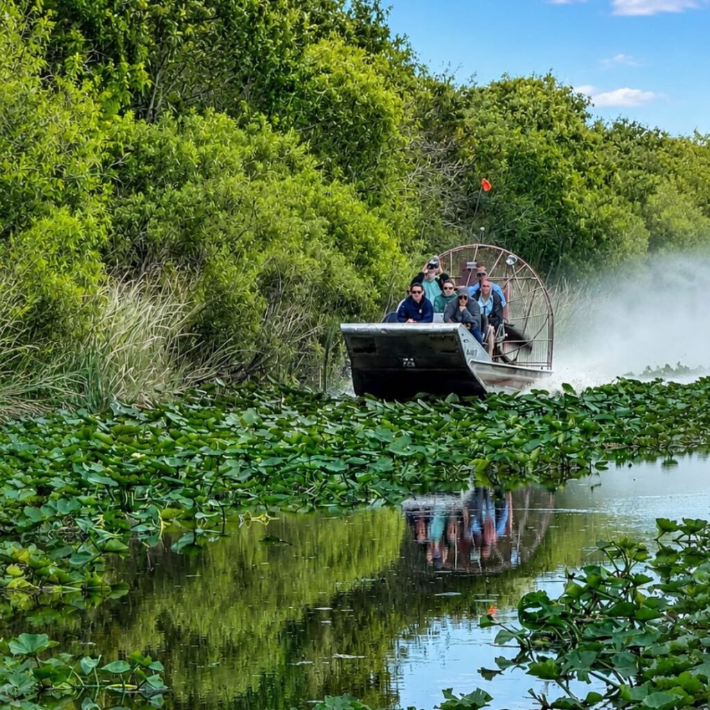 Passeio de Aerobarco nos Everglades: uma experiência imperdível