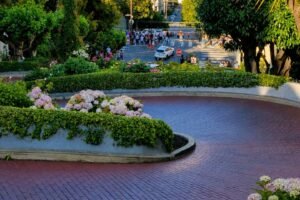 Leia mais sobre o artigo Lombard Street em São Francisco: guia completo para visitar a rua mais sinuosa do mundo com guia brasileiro