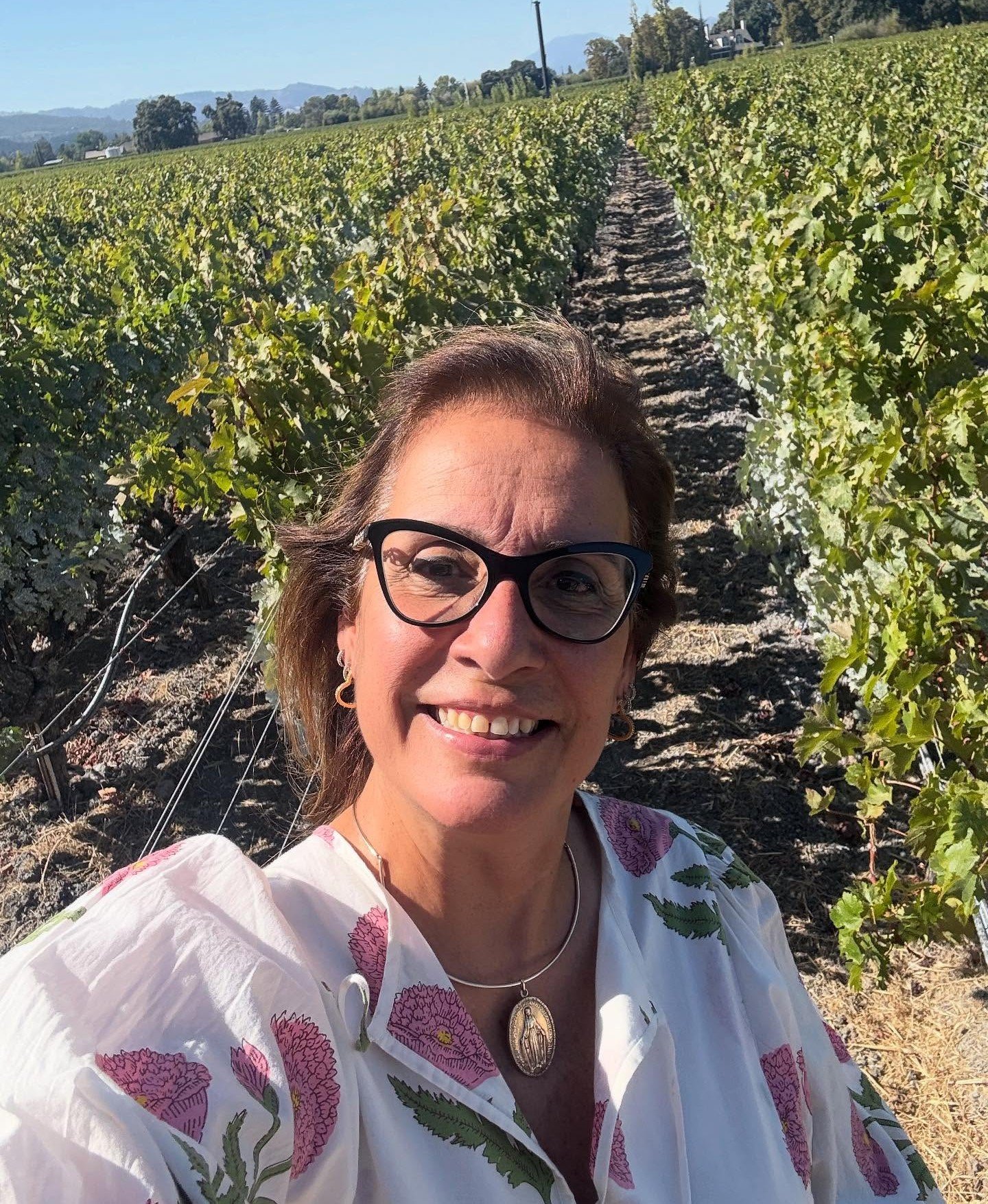 Leia mais sobre o artigo Guia Brasileira em Napa Valley