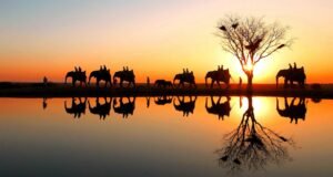 Leia mais sobre o artigo O que fazer em 5, 7 e 10 dias na África do Sul – (Roteiro Completo)