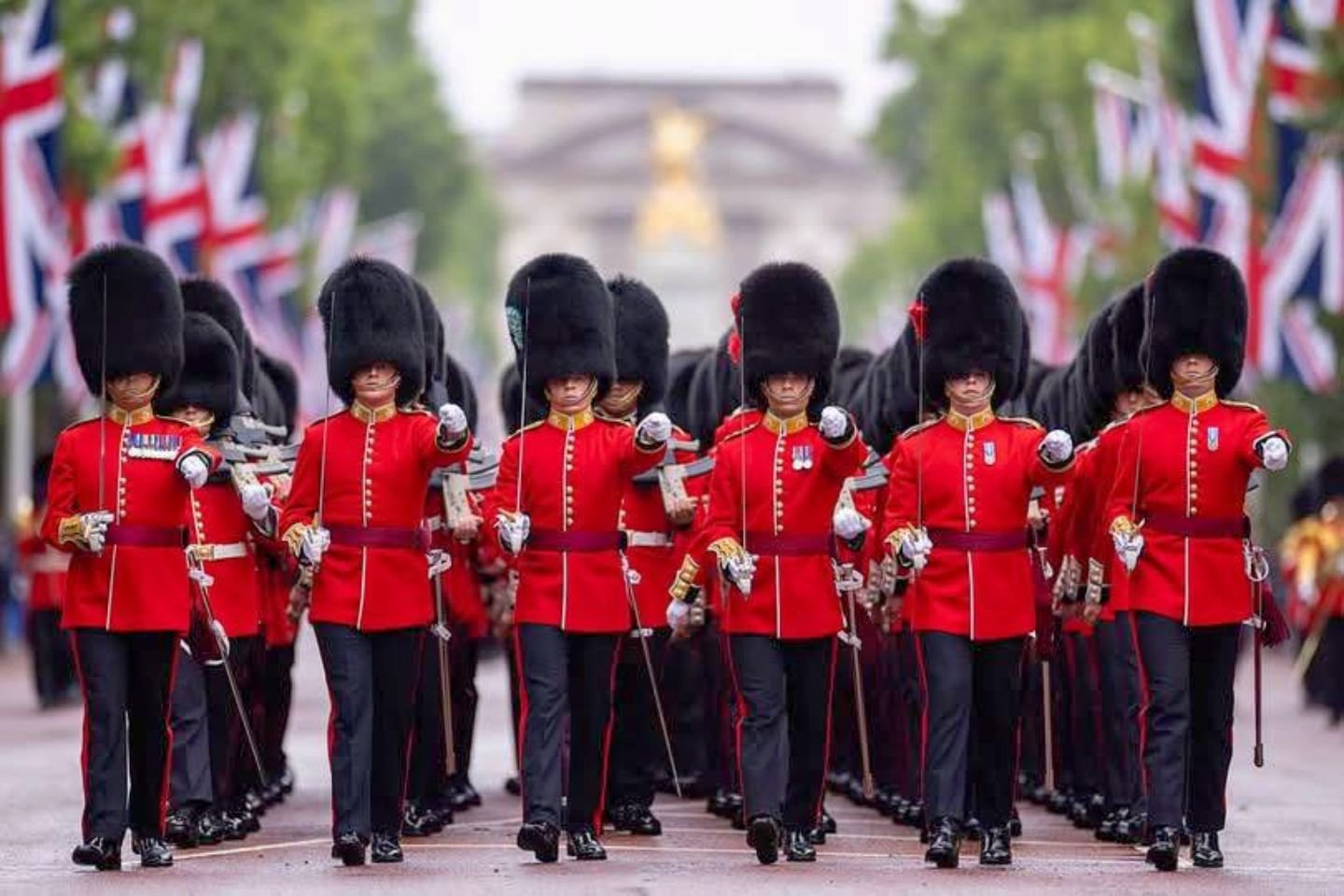 No momento, você está visualizando Troca da Guarda em Londres: guia completo para assistir à cerimônia no Buckingham Palace