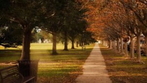 Leia mais sobre o artigo City Park em Nova Orleans: o que fazer, principais atrações e dicas para visitar