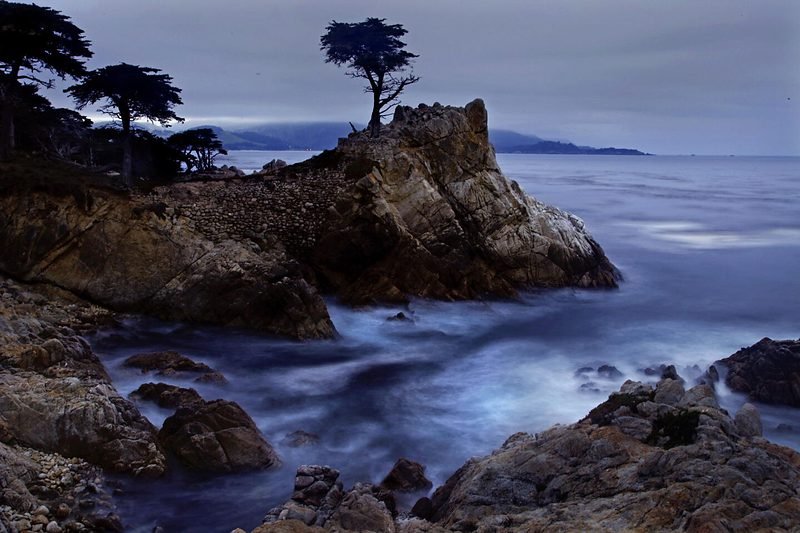 Lone Cypress, o cipreste solitário do 17-Mile Drive em Pebble Beach, perto de Carmel