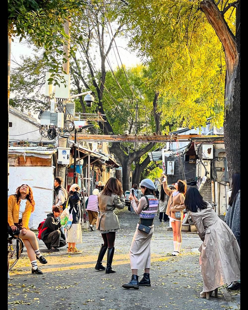 Beco tradicional de Pequim no outono, com casas baixas e folhas amarelas nas árvores