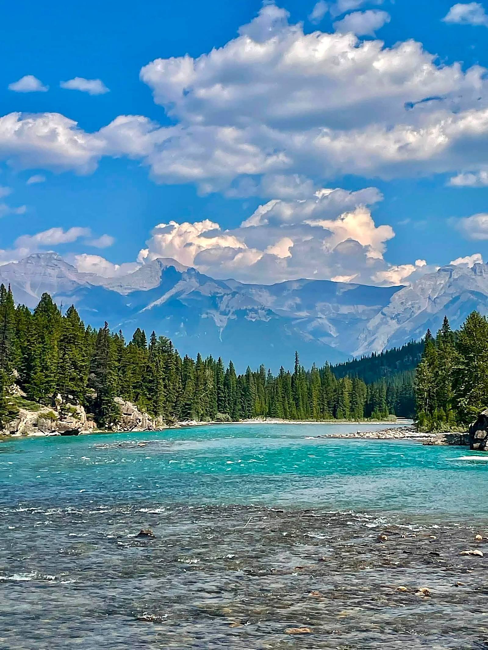 Rio Bow com água turquesa, pinheiros e montanhas no Banff National Park