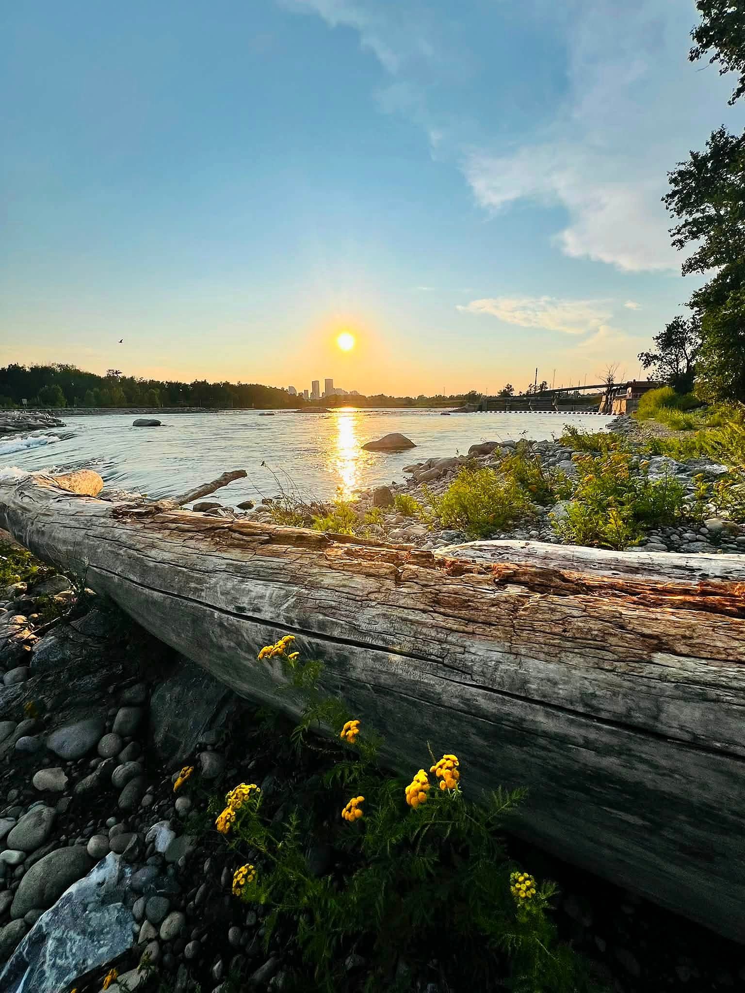Pôr do sol sobre o rio Bow com o skyline de Calgary ao fundo