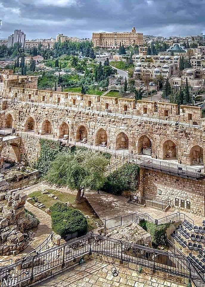 Muralhas e jardim arqueológico da Cidadela de Davi em Jerusalém - passeio com guia brasileira em Jerusalém