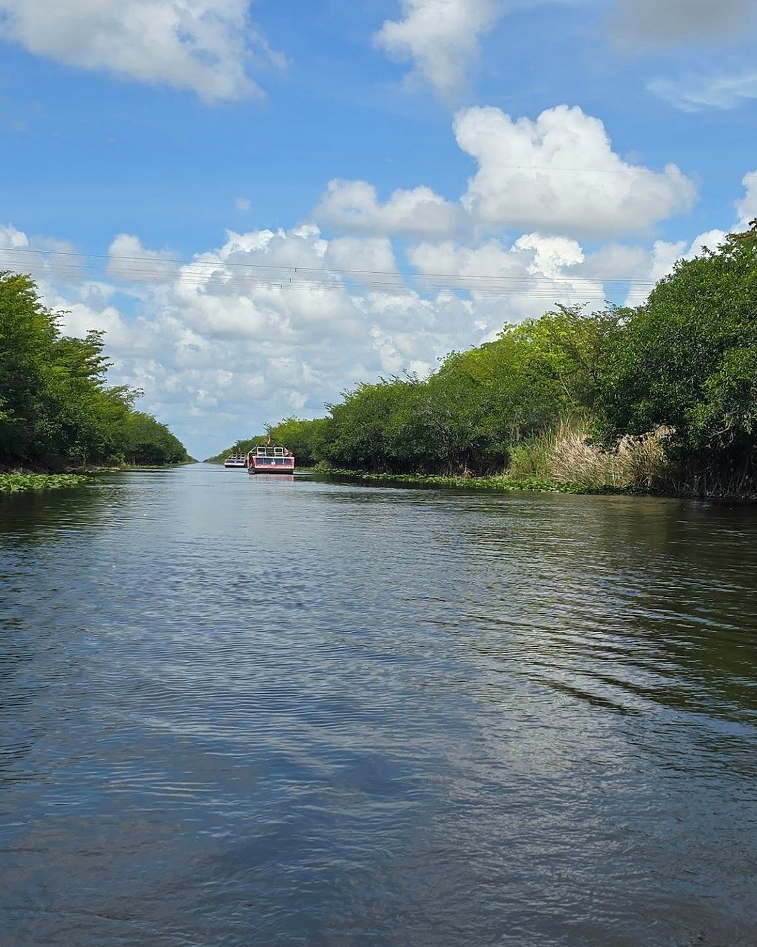 Aerobarcos navegando por um canal do Everglades entre a vegetação, sob céu azul com nuvens