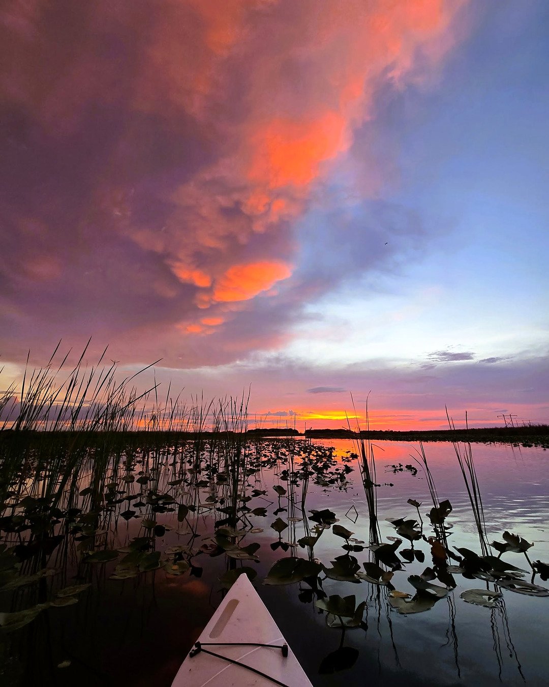 Caiaque entre plantas aquáticas do Everglades ao entardecer, com céu de nuvens coloridas