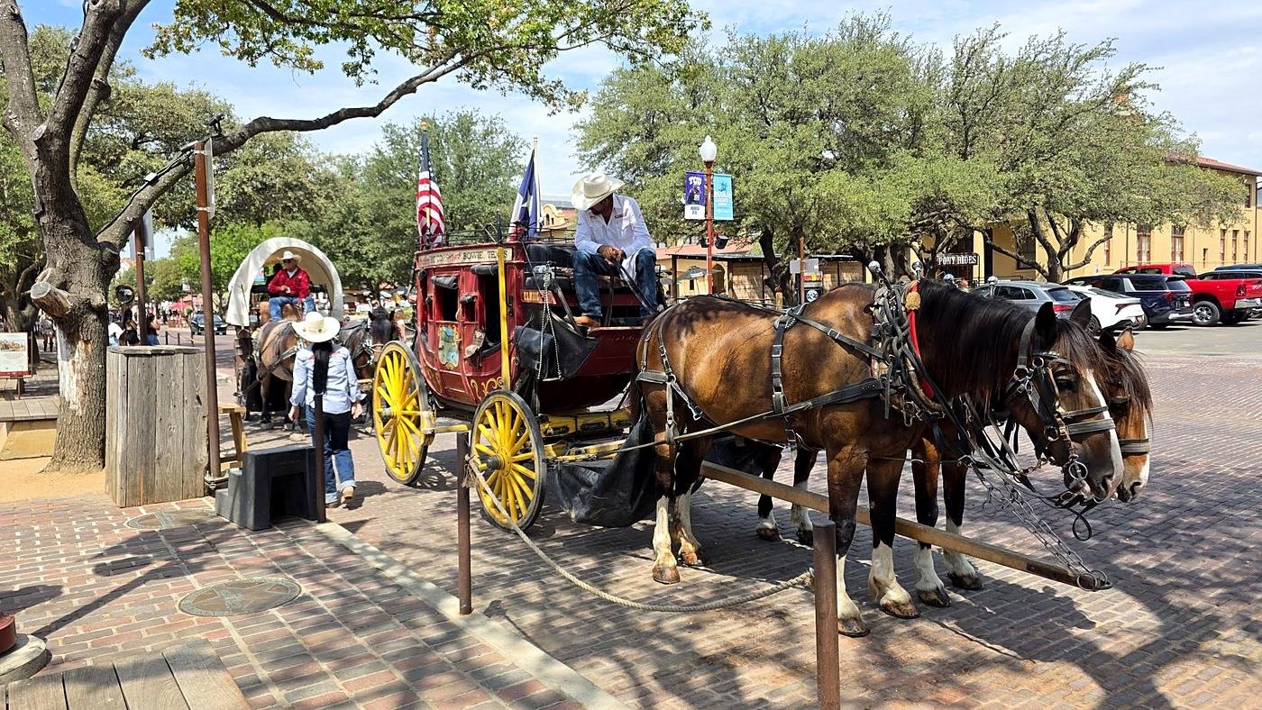 Diligência puxada por cavalos no distrito dos Stockyards, em Fort Worth