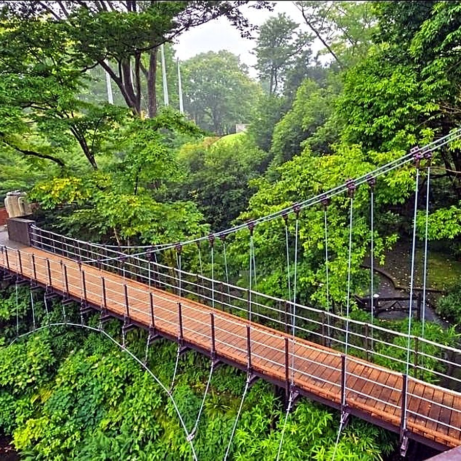 Ponte suspensa em meio à floresta em Hakone