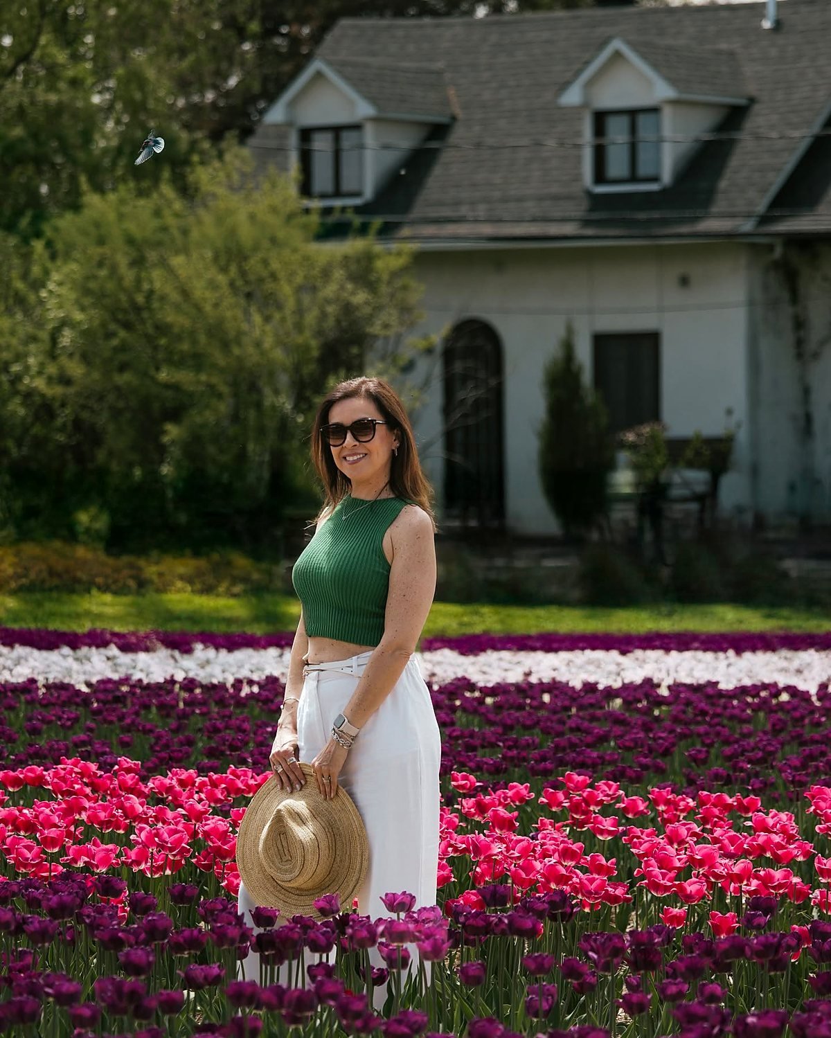 Leila Diniz em um campo de tulipas roxas e rosas