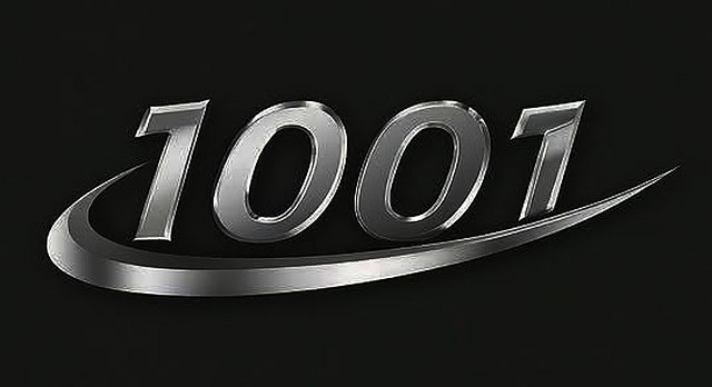 1001 Transportation