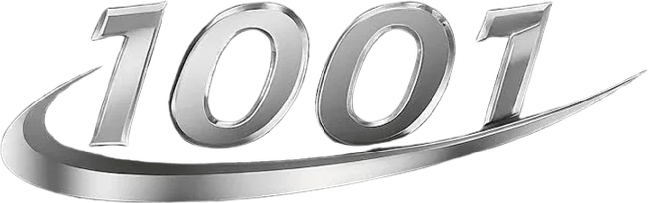 1001 Transportation