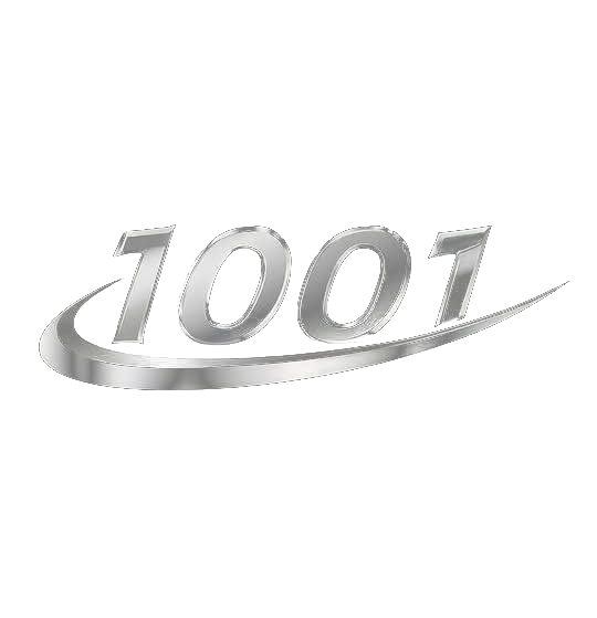 1001 Transportation
