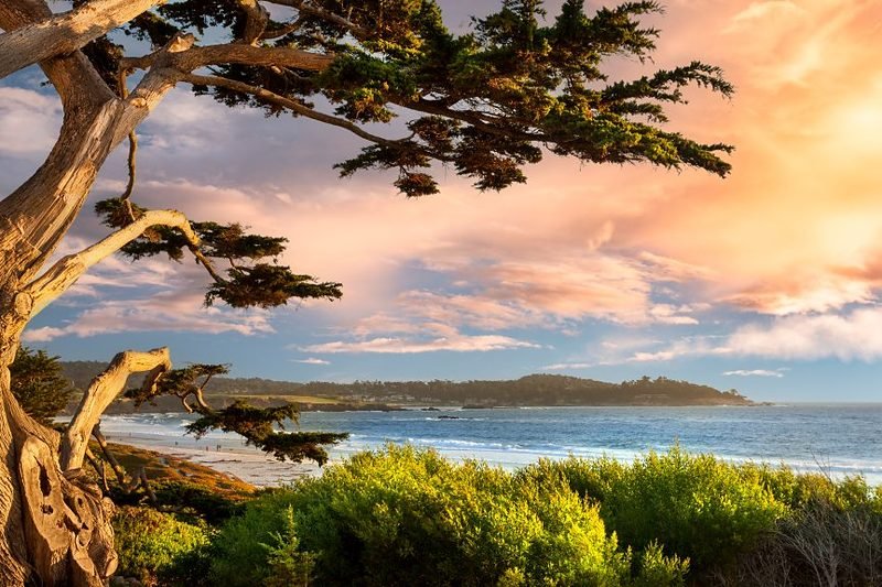 Ocean Avenue, a rua principal de Carmel By The Sea, com lojas, galerias e ciprestes