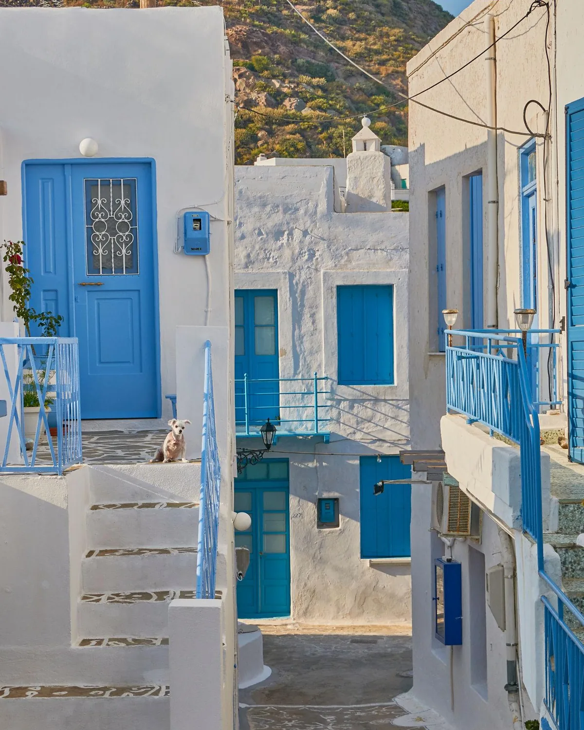 Ruela de casas brancas com portas e janelas azuis em Plaka, Milos