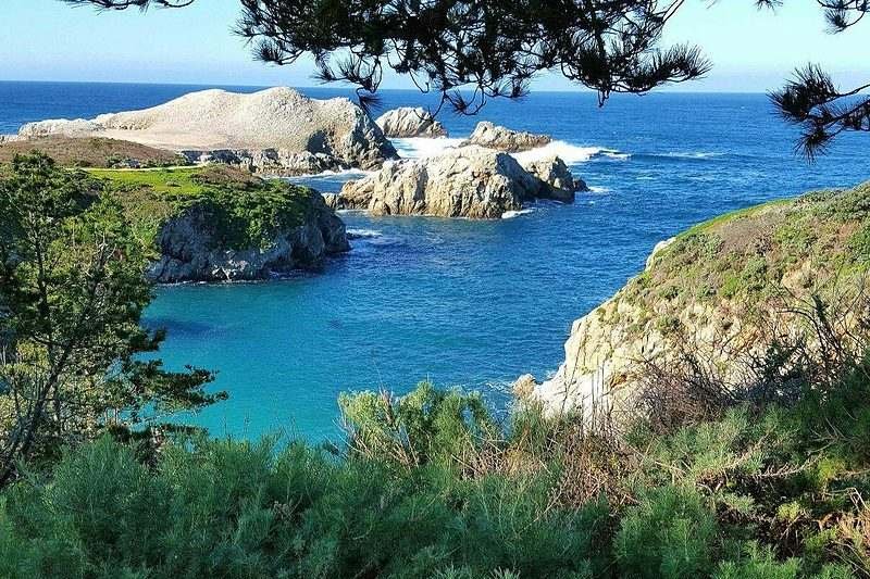 Costa rochosa e ciprestes na reserva natural Point Lobos, perto de Carmel By The Sea