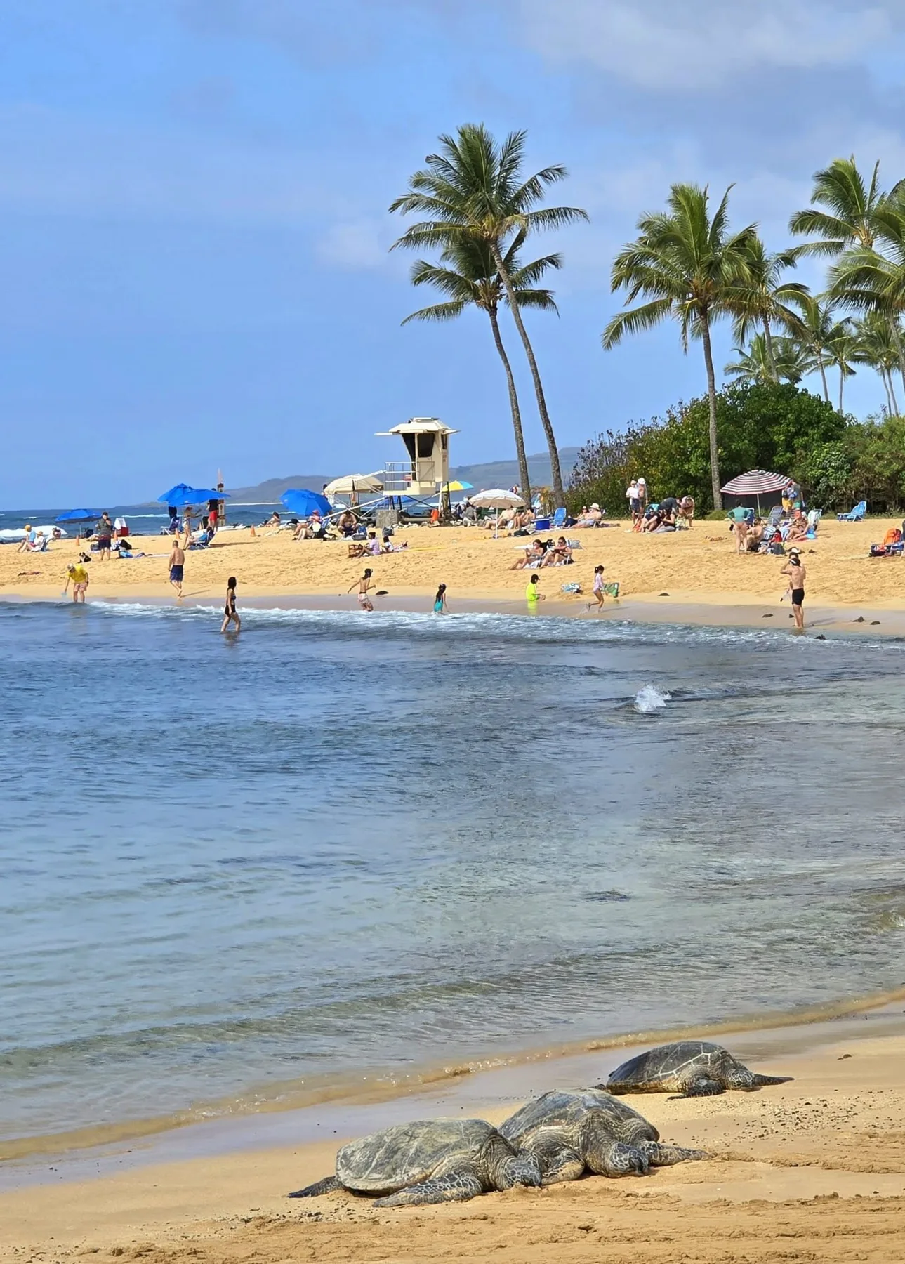 Praia tropical em Kauai, Havaí