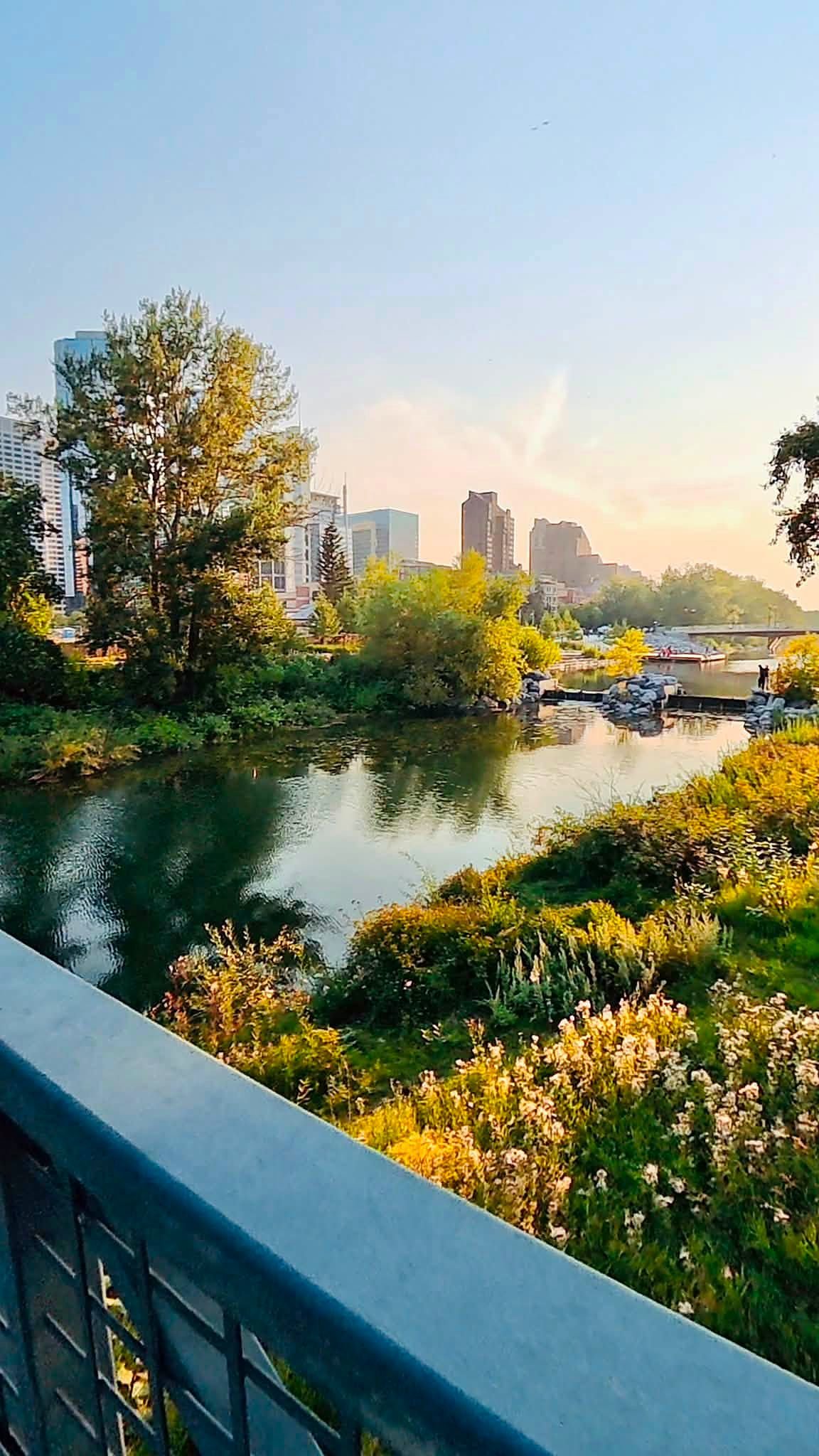 Parque às margens do rio em Calgary, com vegetação verde e o centro ao fundo
