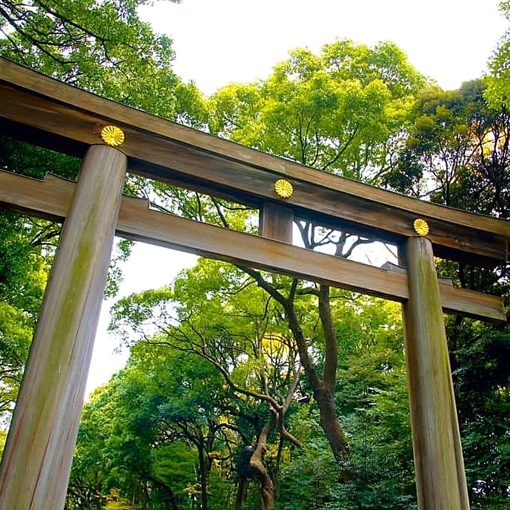 Grande torii de madeira na entrada do Santuário Meiji