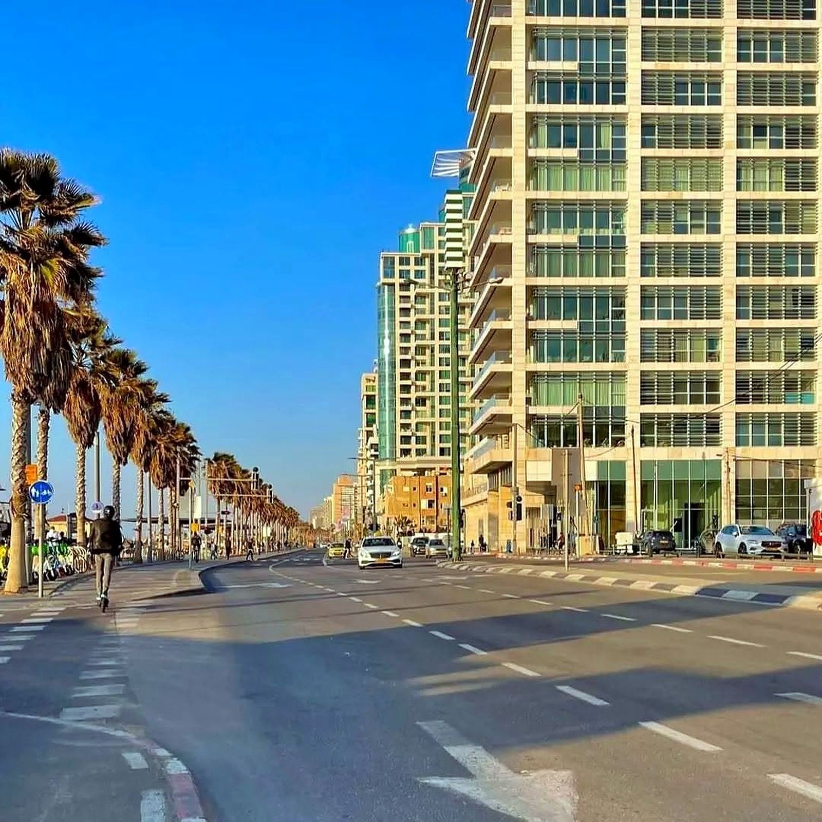 Avenida da orla de Tel Aviv com palmeiras - passeio com guia brasileira em Israel