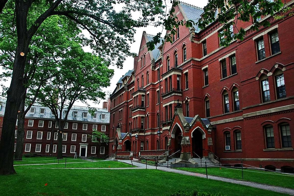 Prédios de tijolos vermelhos e gramado verde no Harvard Yard na primavera