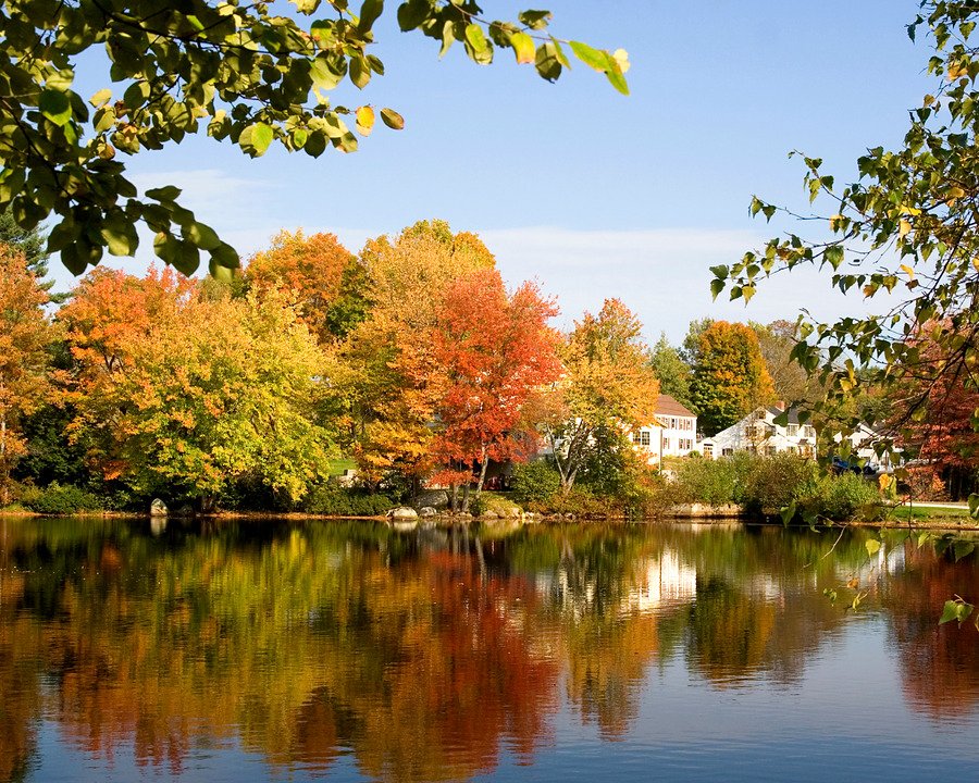 Lago refletindo árvores com folhas de outono