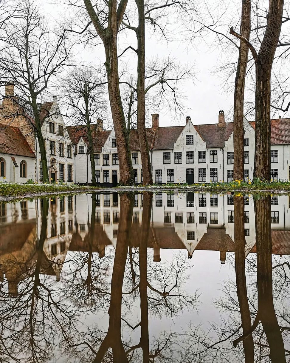 Casas brancas do Beguinário de Bruges refletidas na água, entre árvores e narcisos