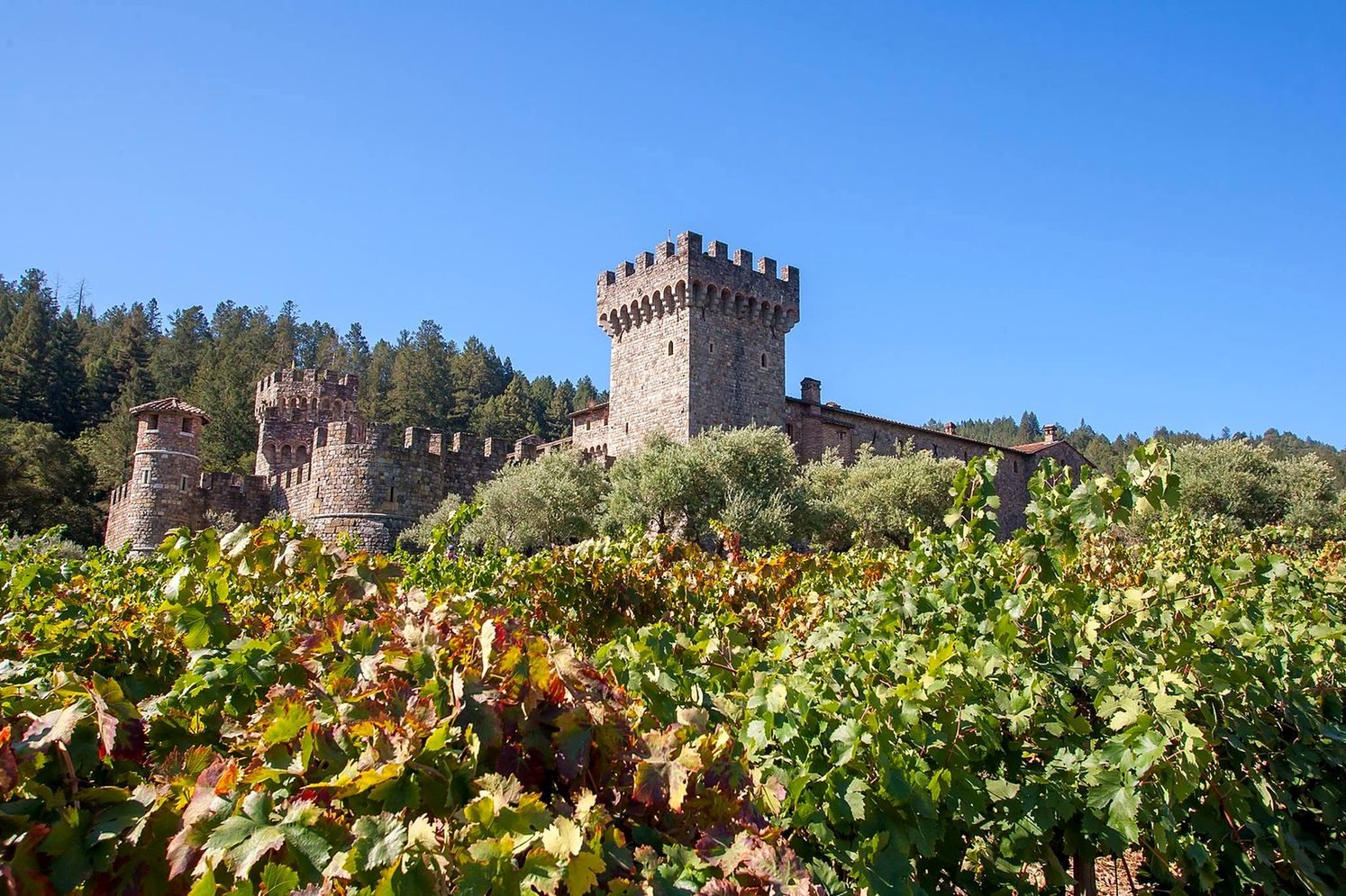 Castello di Amorosa, castelo medieval em Napa Valley