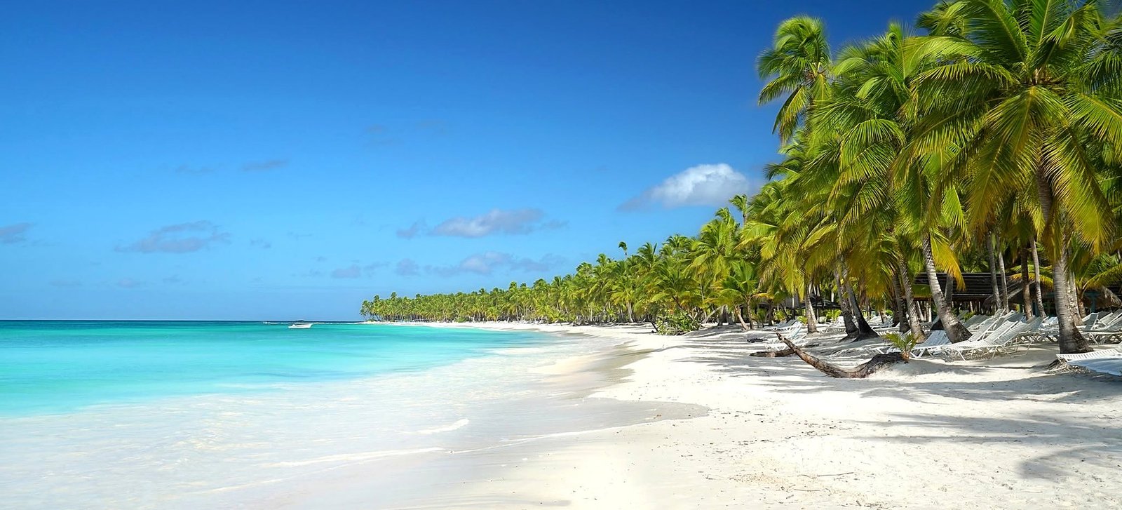 Praia de areia branca com coqueiros e mar azul-turquesa na Ilha Catalina, República Dominicana