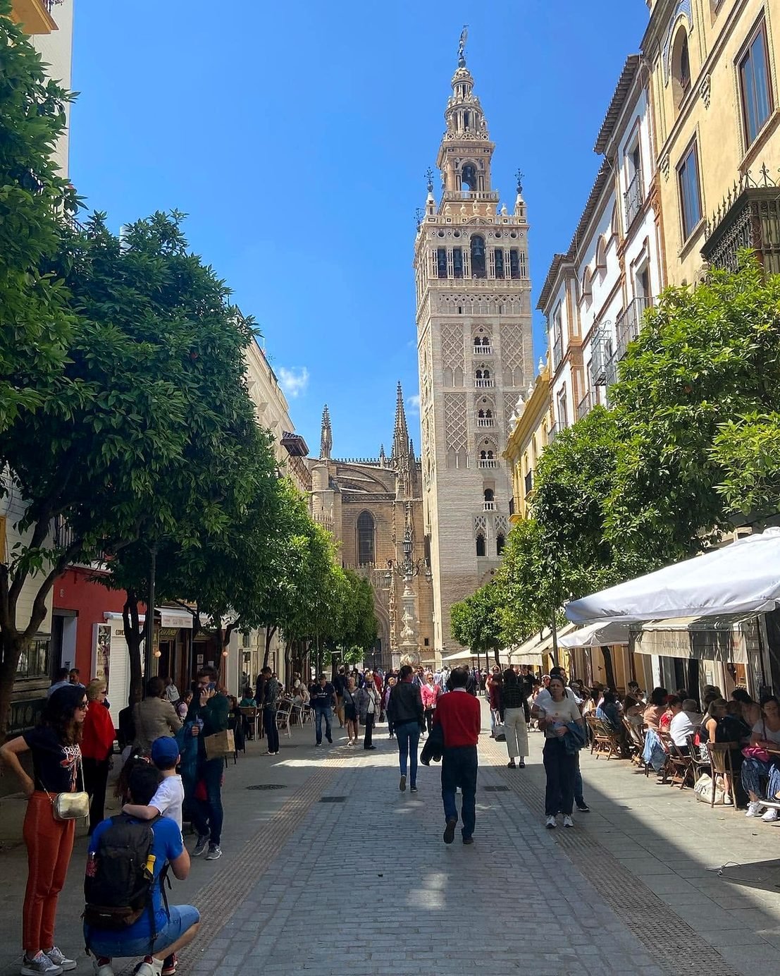 Rua de Sevilha com laranjeiras e a torre da Giralda ao fundo, ao lado da Catedral