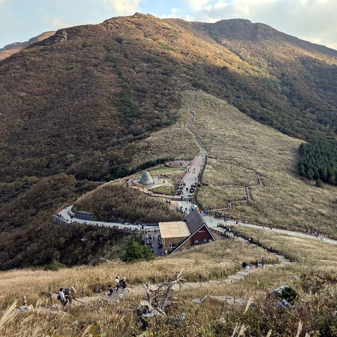 Campos de capim-prateado de Ganwoljae nos Alpes de Yeongnam, Ulsan