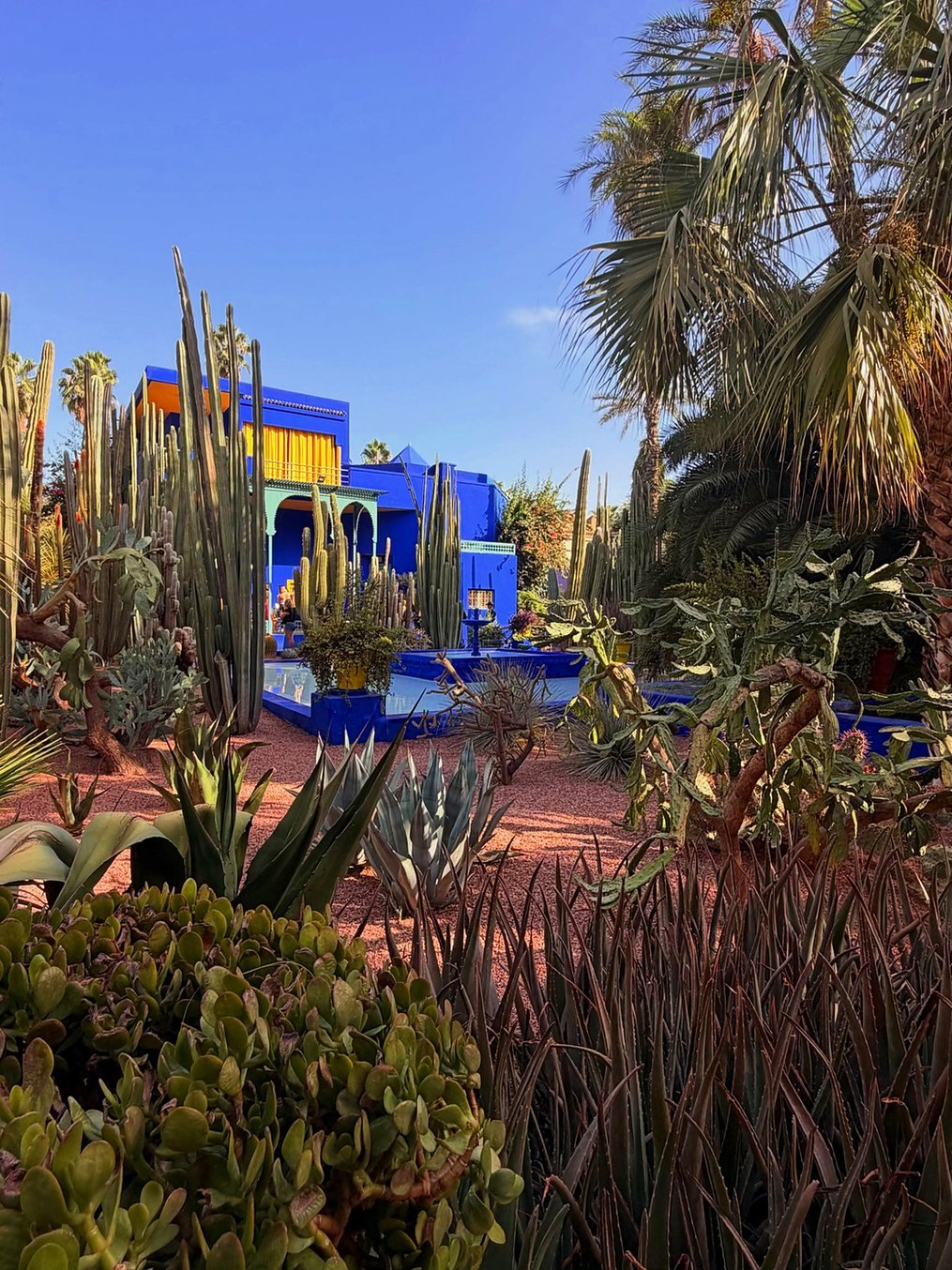 Casa azul Majorelle cercada de cactos e palmeiras no Jardim Majorelle em Marrakech