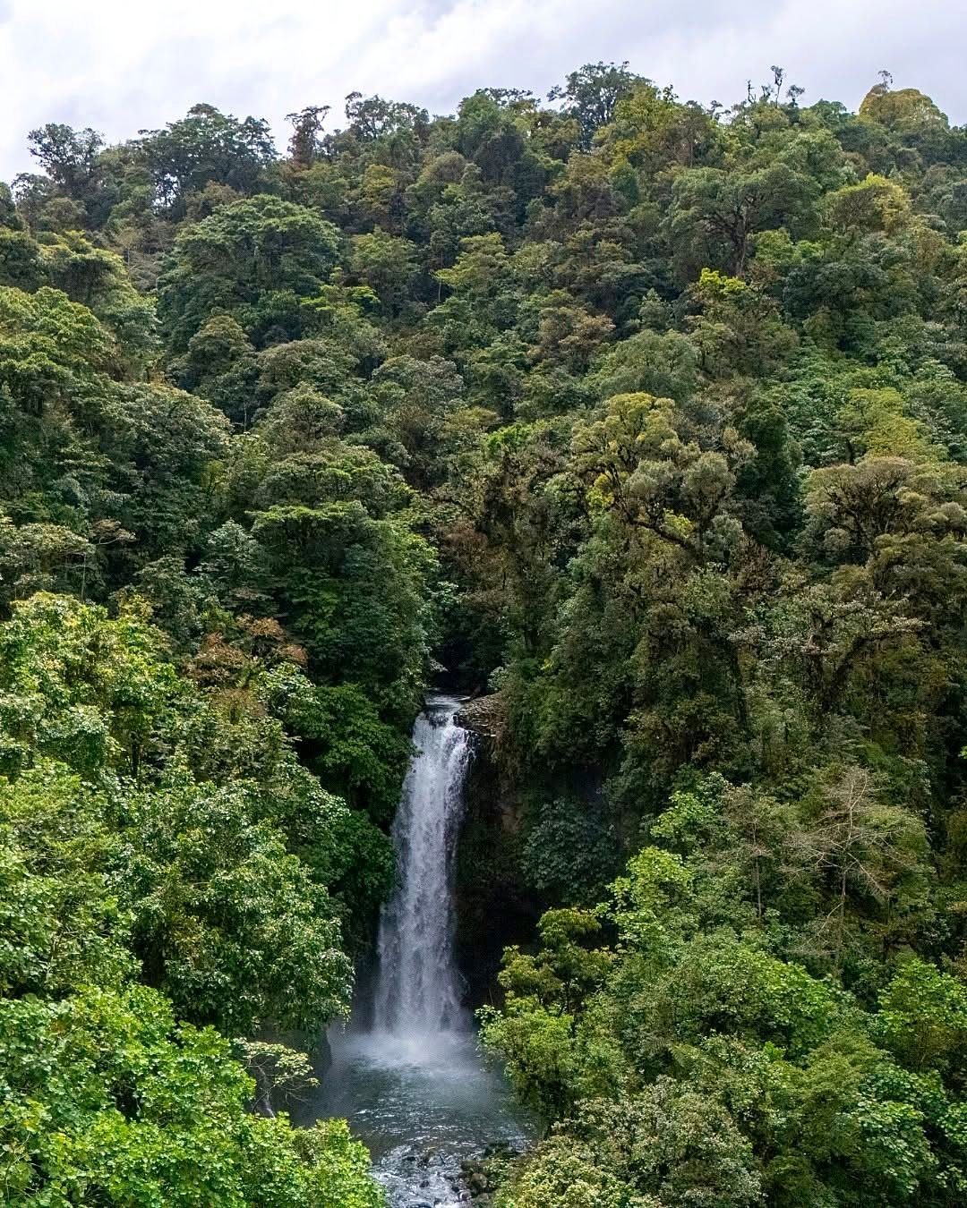 Cachoeira em meio à floresta no La Paz Waterfall Gardens, Costa Rica