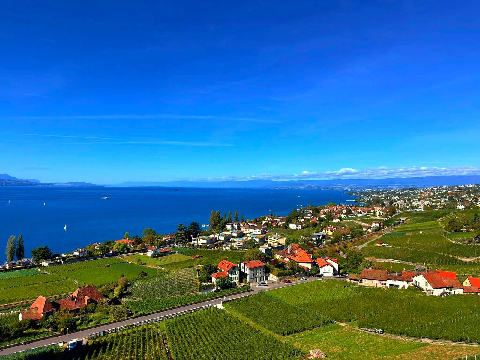 Vinhedos em terraços de Lavaux à beira do Lago Léman