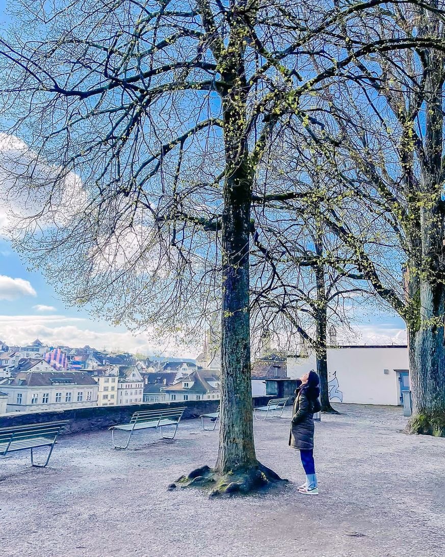 Mirante do Lindenhof em Zurique com árvores e vista para a cidade