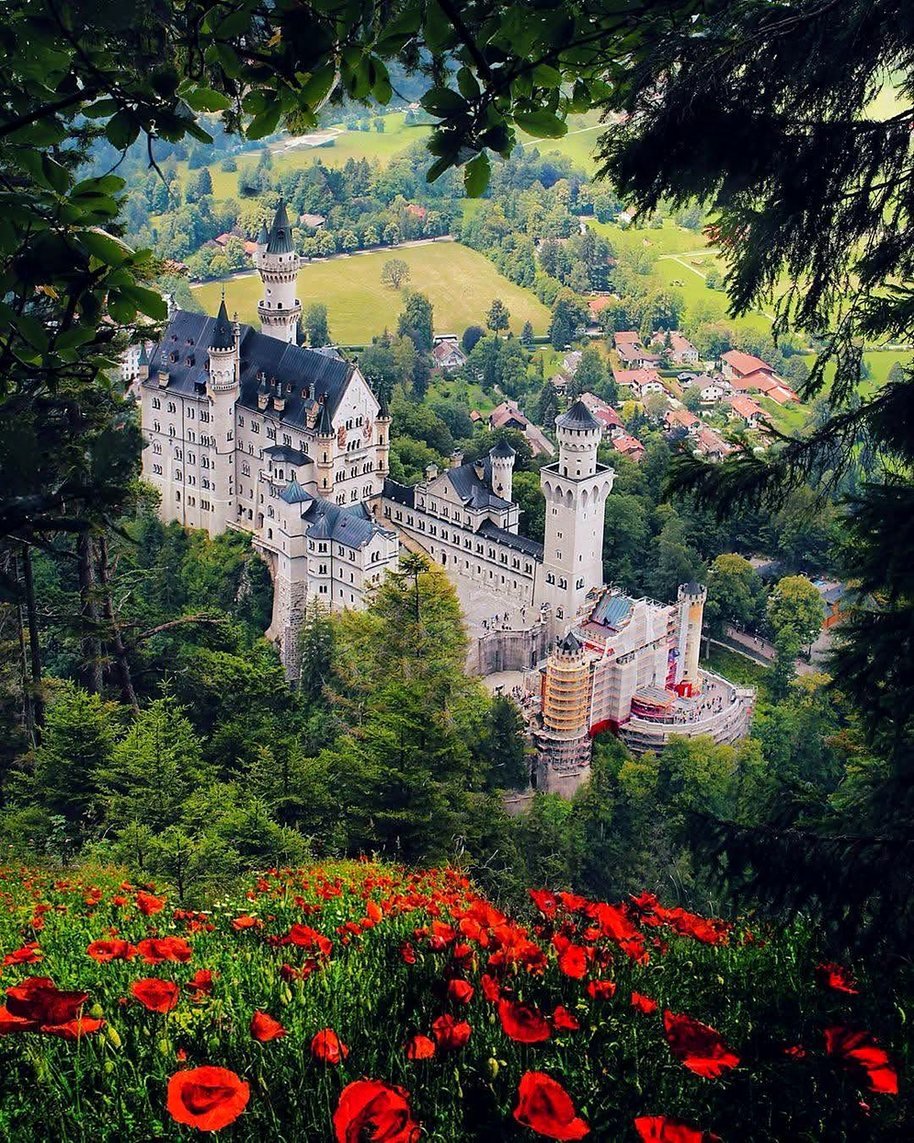 Castelo de Neuschwanstein cercado de floresta na Baviera