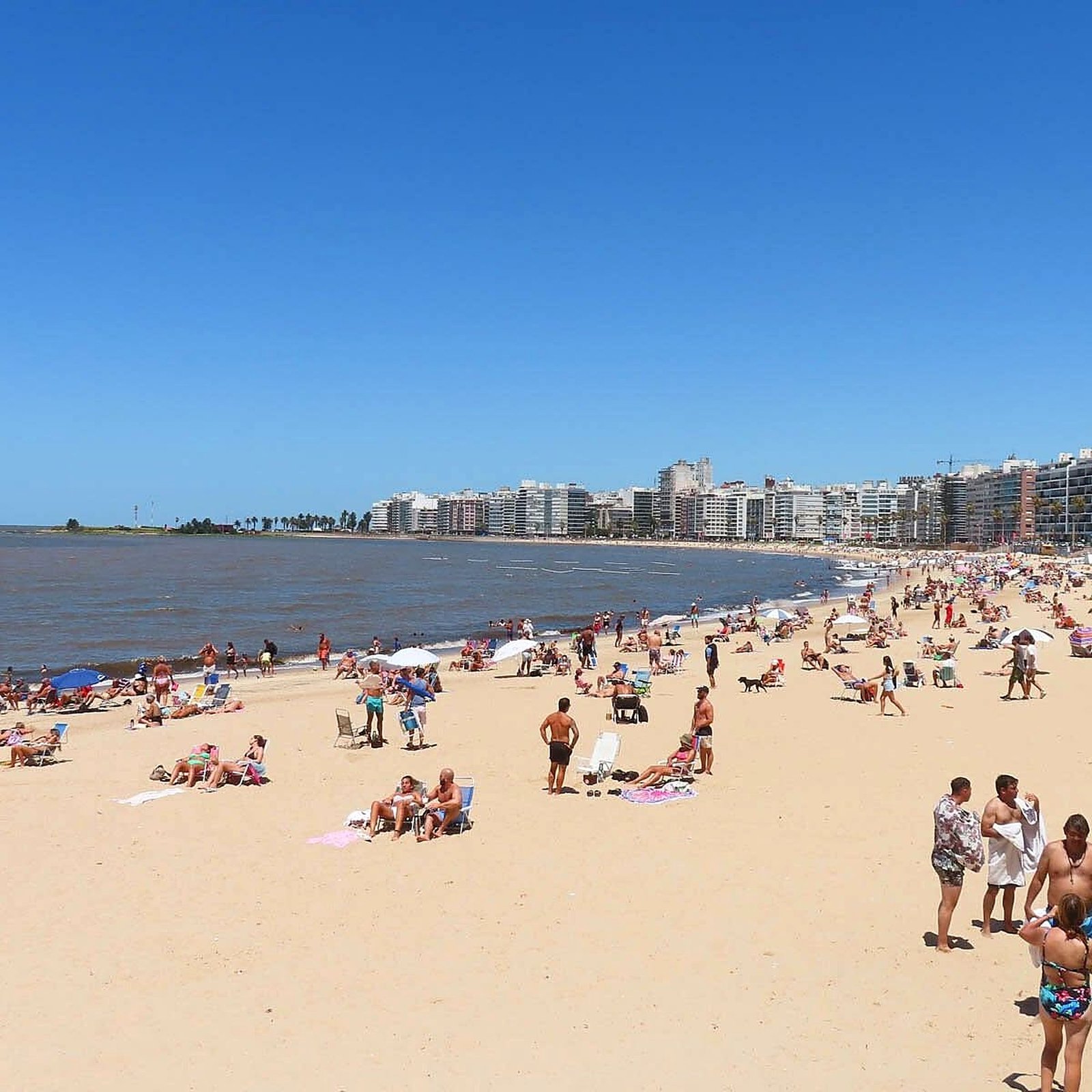 Praia de Pocitos em Montevidéu em dia de sol, com a orla de prédios ao fundo