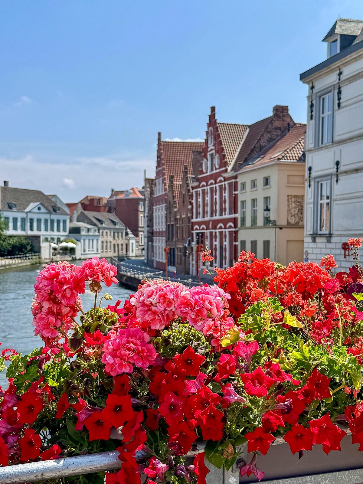 Flores vermelhas e cor-de-rosa sobre um canal de Bruges com casas de frontões escalonados