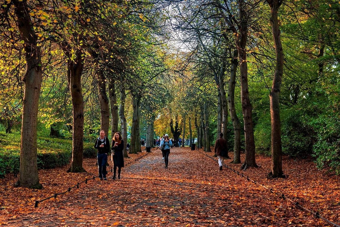 Alameda de árvores no outono no St Stephen's Green, Dublin