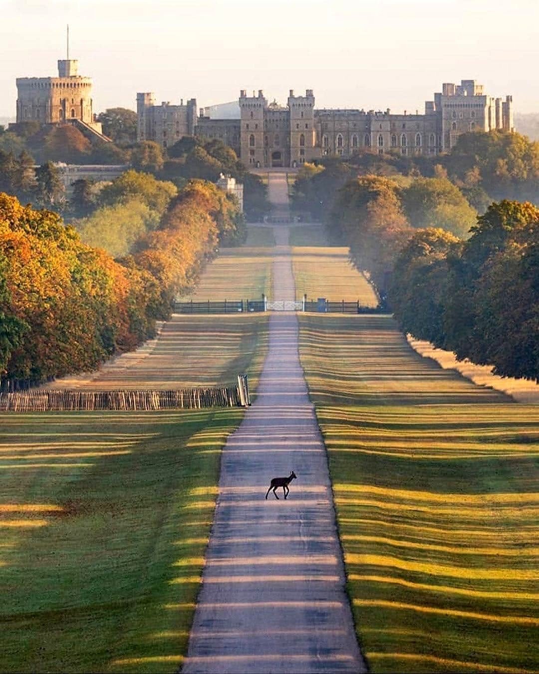 The Long Walk, avenida que leva ao Castelo de Windsor