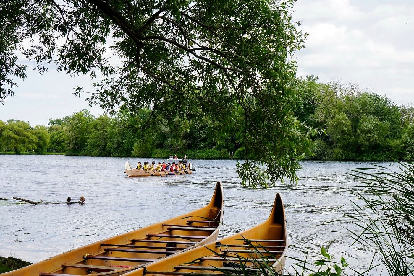 Canoas nas Toronto Islands, no Lago Ontário