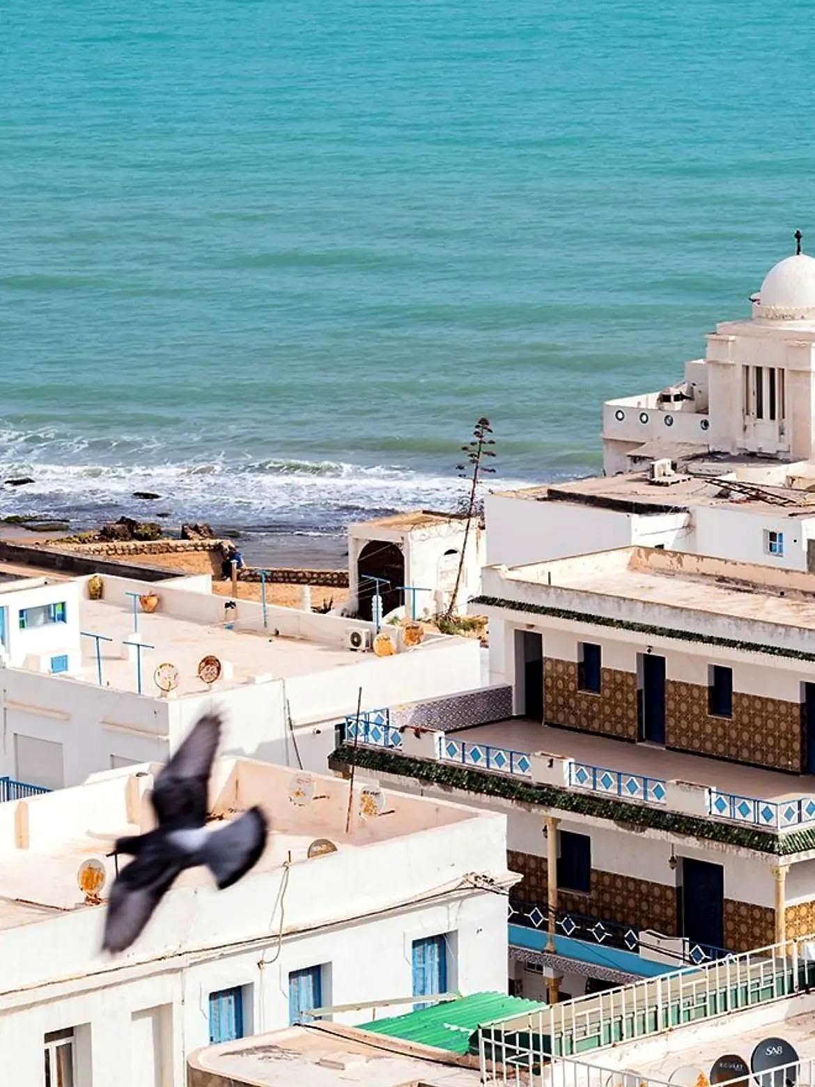 Casario branco à beira do Mediterrâneo no litoral de Túnis