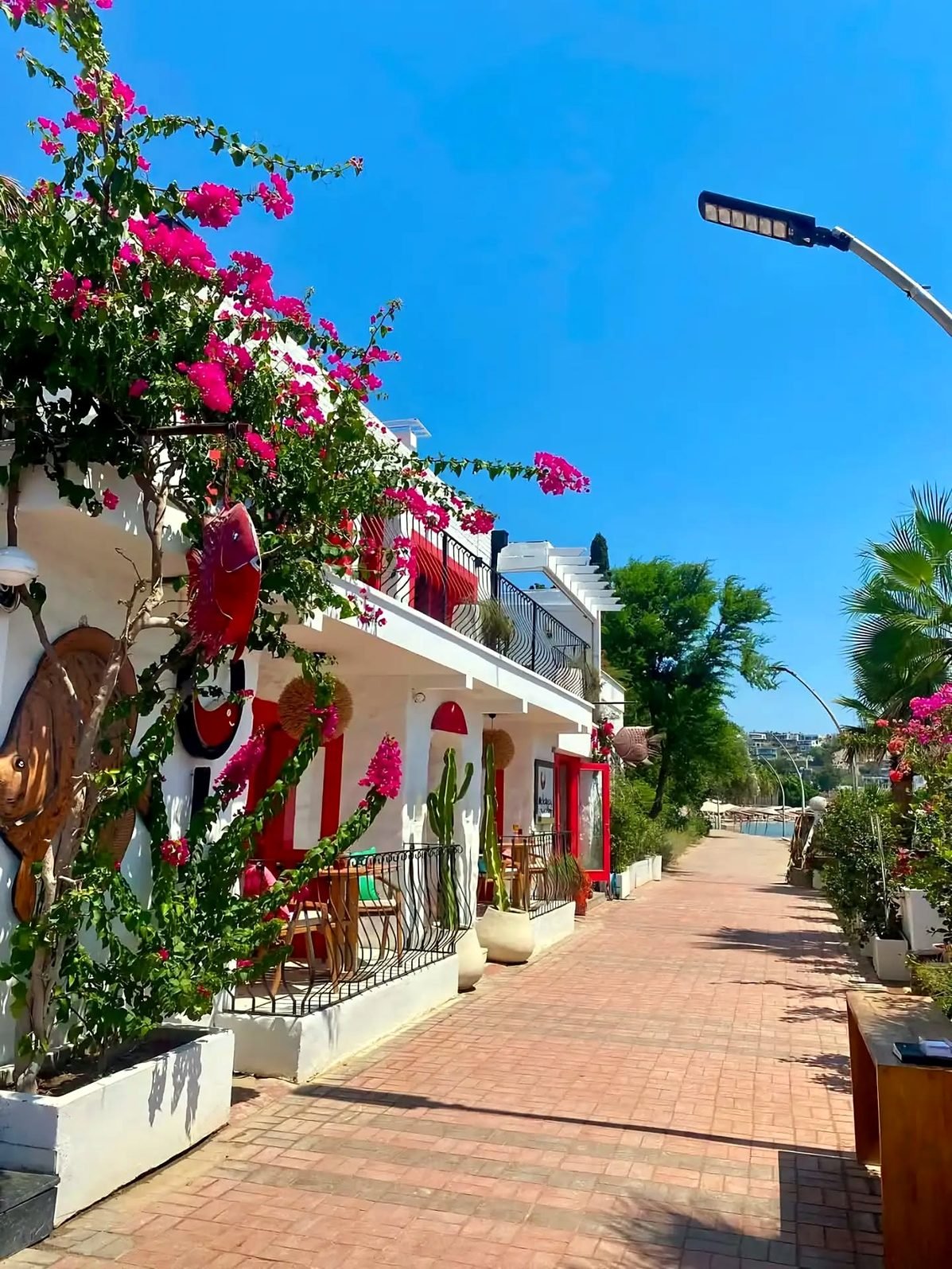 Casas brancas com buganvílias à beira-mar em Bodrum