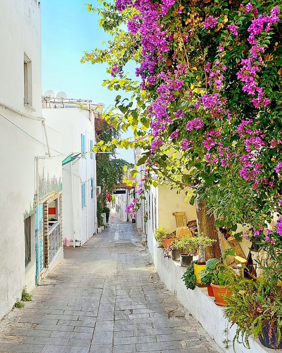 Ruela de casas brancas com buganvílias floridas no centro de Bodrum