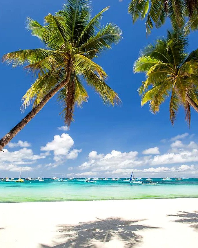 Coqueiros inclinados sobre a areia branca da White Beach, com barcos no mar de Boracay
